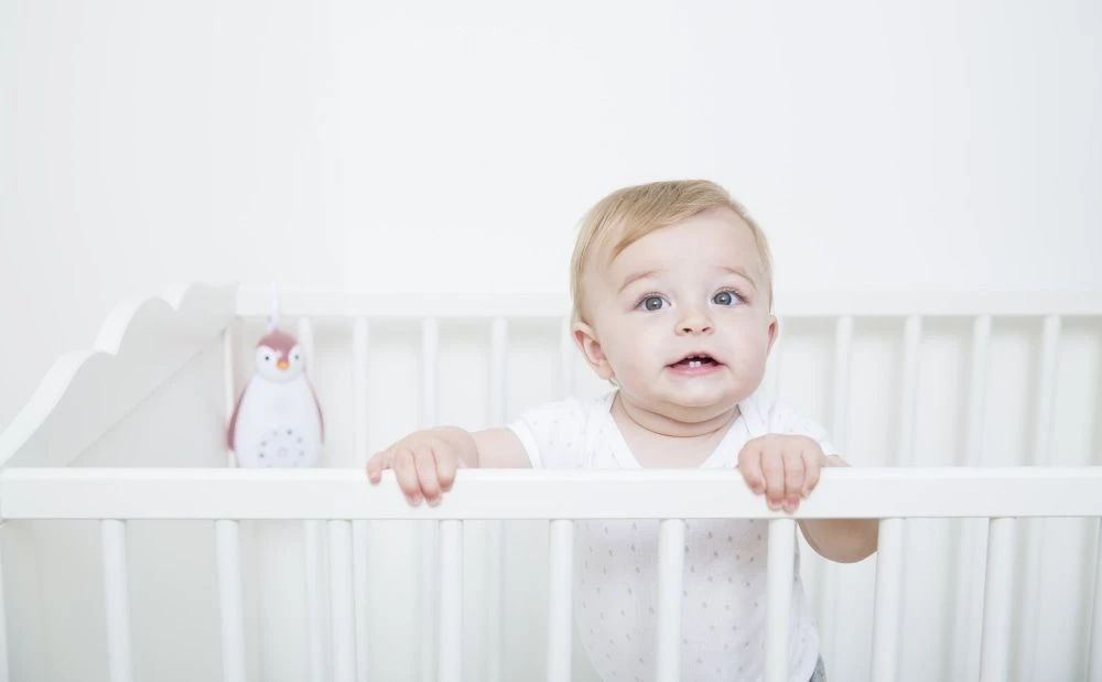 Zazu Zoe De Pinguin Roze 3 In 1 Muziekdoosje ZA-ZOE-03 - Afbeelding 11