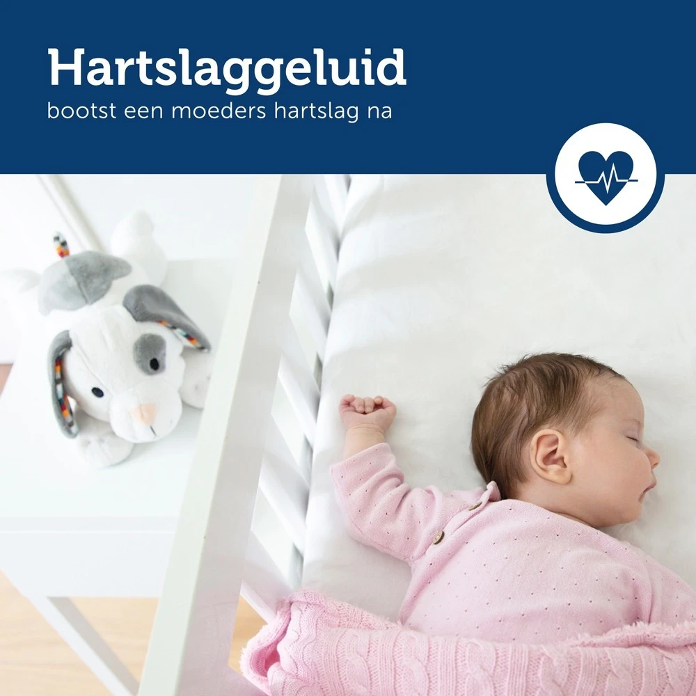 Zazu Dex De Hond Heartbeat Knuffel Met Geluid Za-Dex-01 - Afbeelding 12
